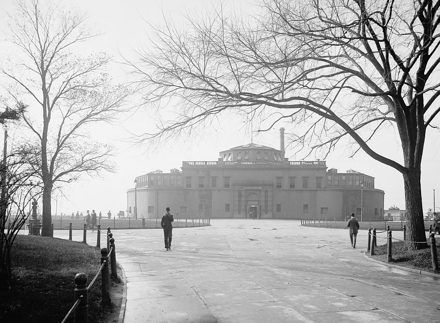 When the New York Aquarium was in Battery Park History Behind The