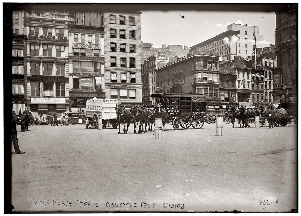 America's first free animal hospital, at 350 Lafayette Street, with a roof  garden for sick horses - The Bowery Boys: New York City History