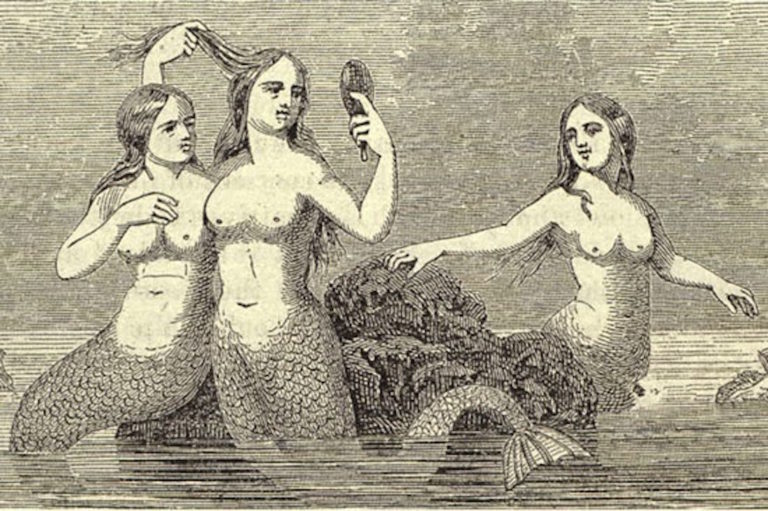 The Fejee Mermaid, New York’s original mermaid freak