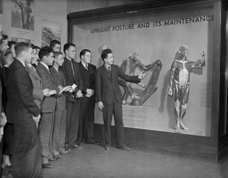 Photo by Charles Coles, courtesy AMNH