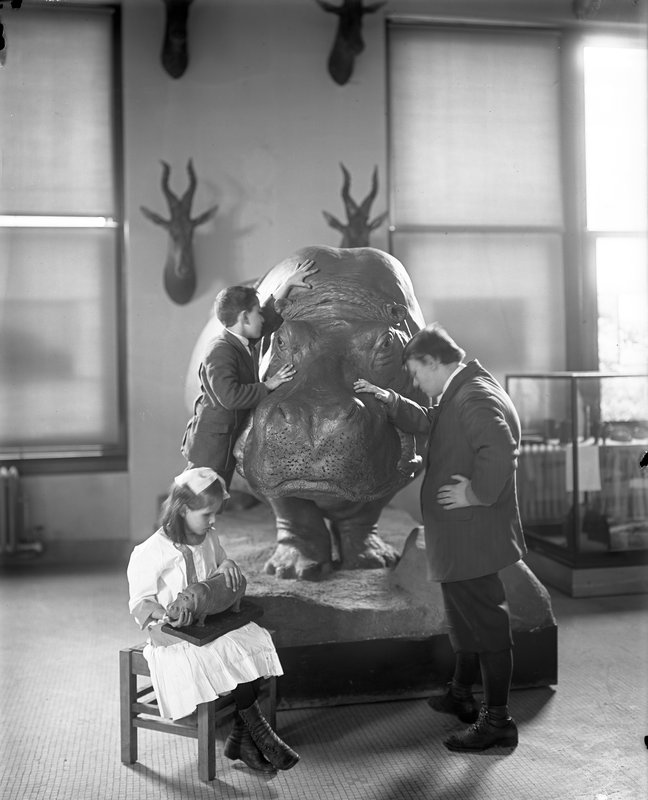Julius Kershner, courtesy AMNH