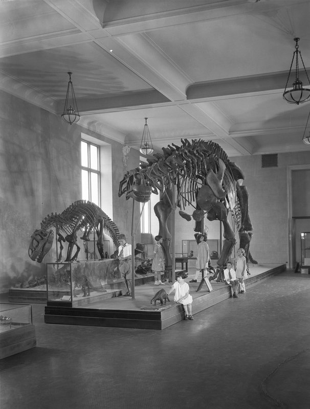 Courtesty Irving Dutcher, courtesy AMNH