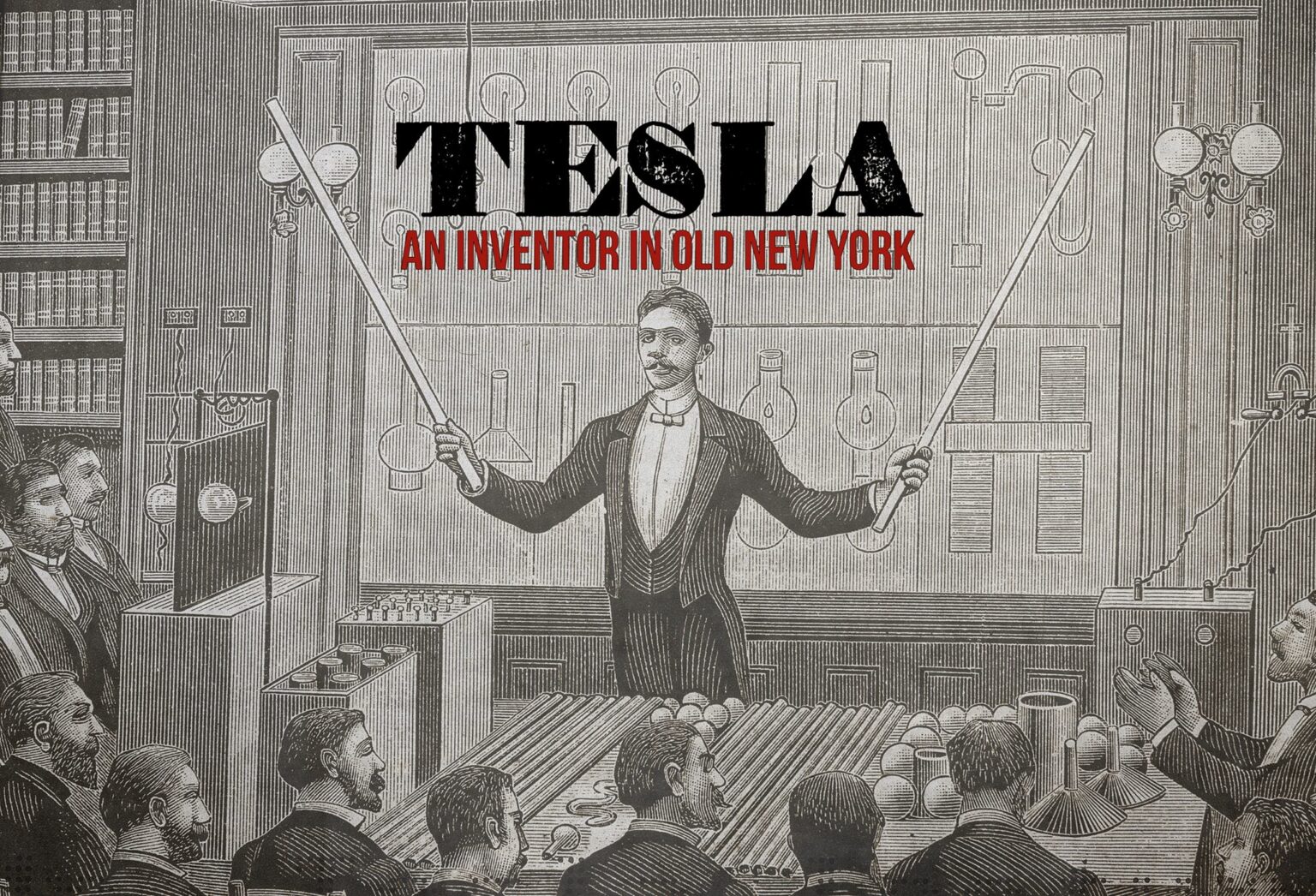 trip history tesla