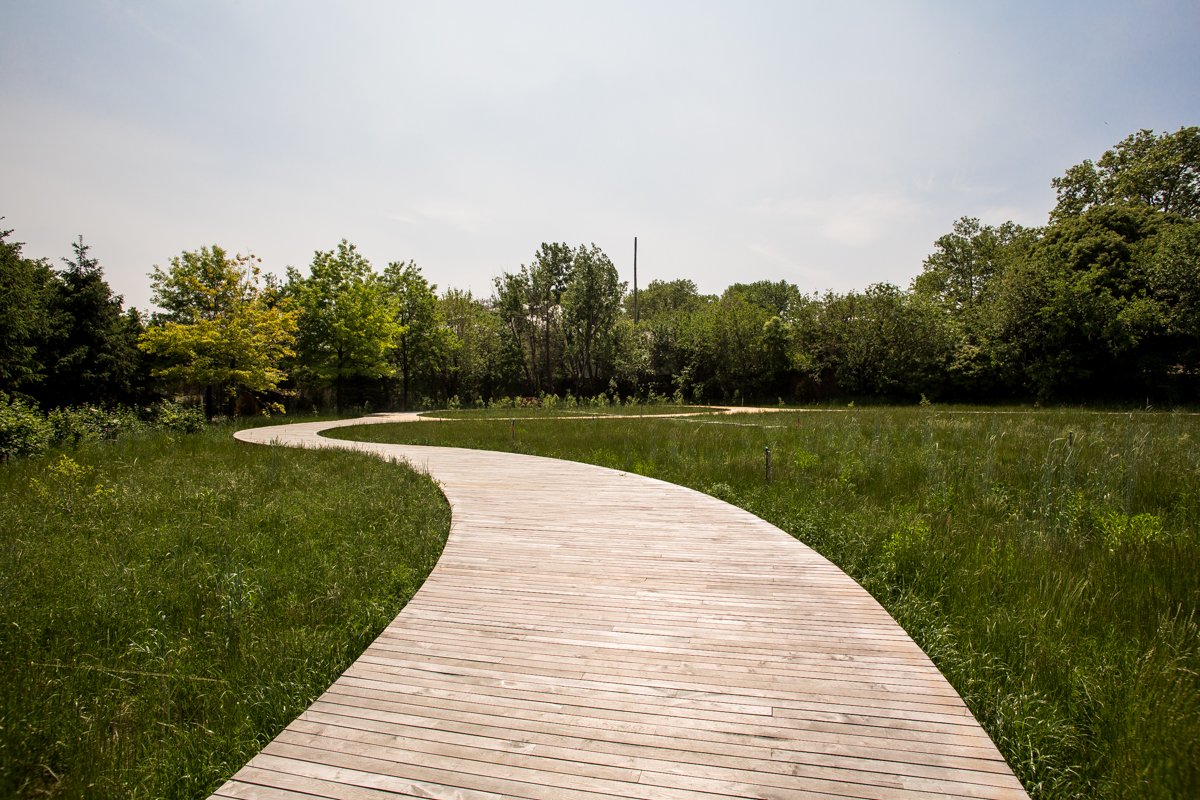 Courtesy Scott Heins/Gothamist. You can read about the park's opening here: http://gothamist.com/2016/05/26/brooklyn_navy_yard_cemetery_park.php#photo-4