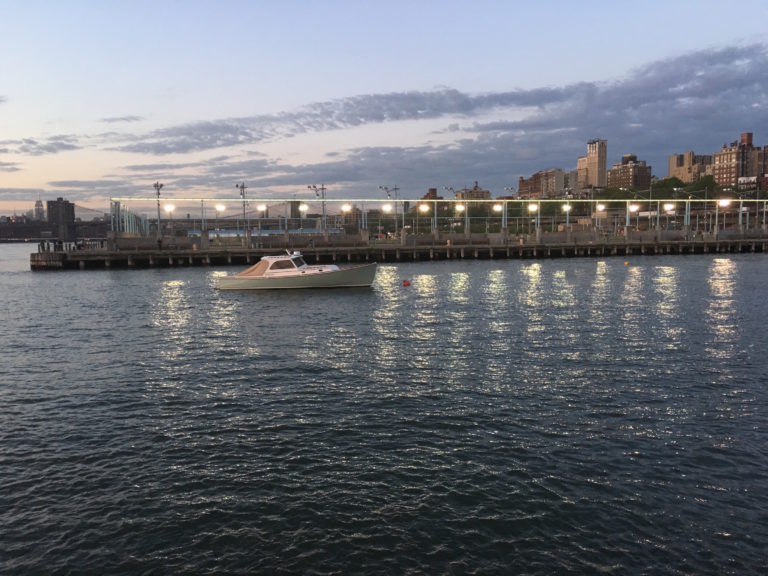Book Review: A History of Brooklyn Bridge Park