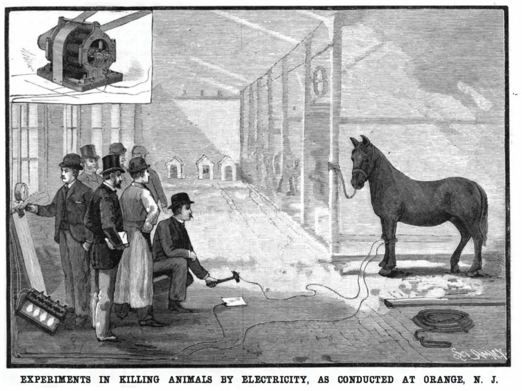 This Morbid Invention The Terrible Story of the First Electric Chair