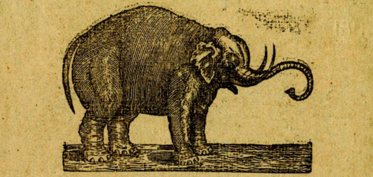 The Big Story Of Old Bet, America’s First Circus Elephant