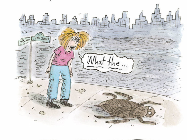 ‘Going to Town’: Roz Chast rewrites the guide book