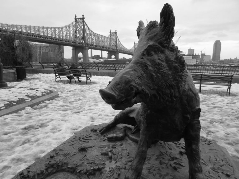 Why is there a statue of a boar on Sutton Place?