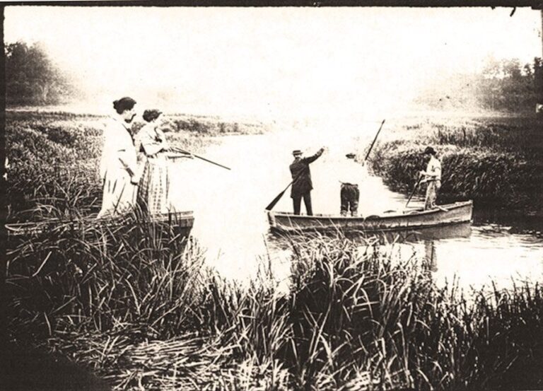 The Jersey Shore Shark Attacks of 1916